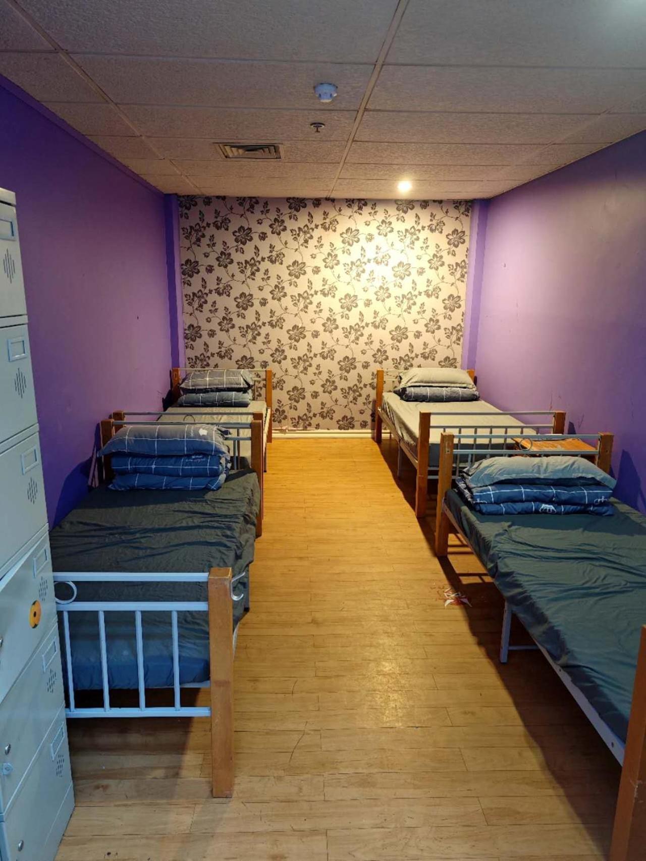 Hostel Frienz Backpacker Auckland Zewnętrze zdjęcie