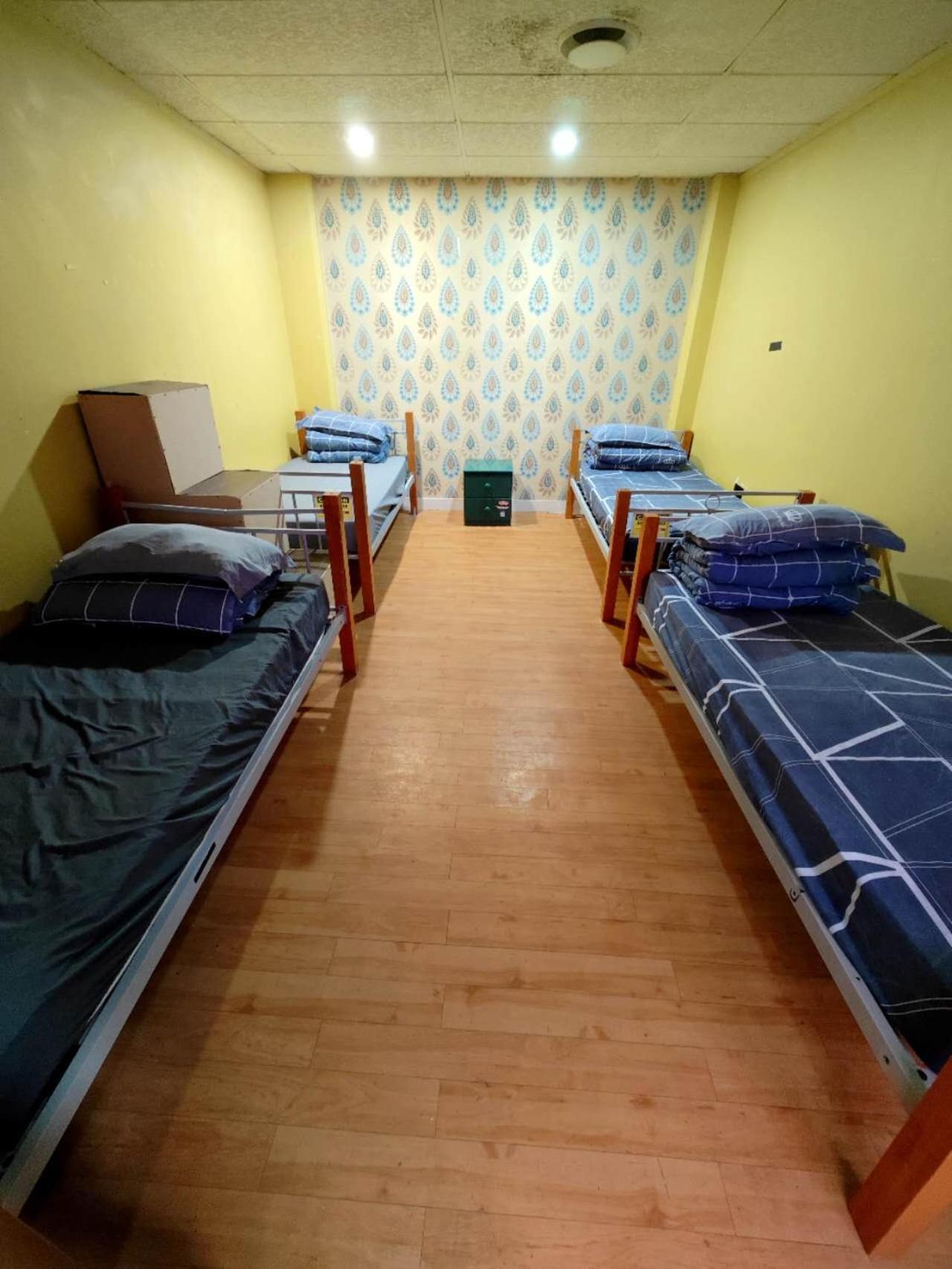 Hostel Frienz Backpacker Auckland Zewnętrze zdjęcie